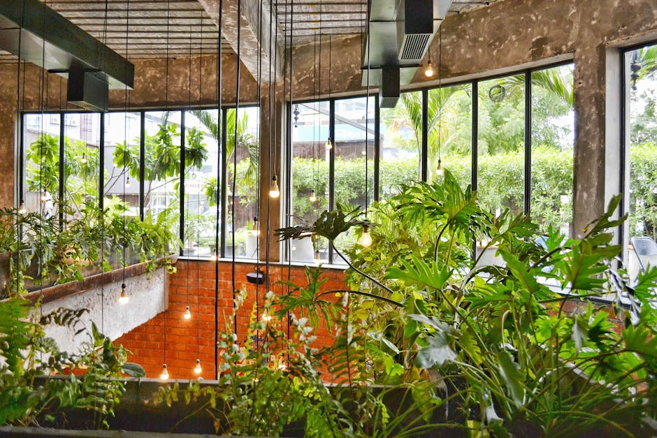 Bright cafe in Ahmedabad featuring lush indoor plants and large windows with daylight.